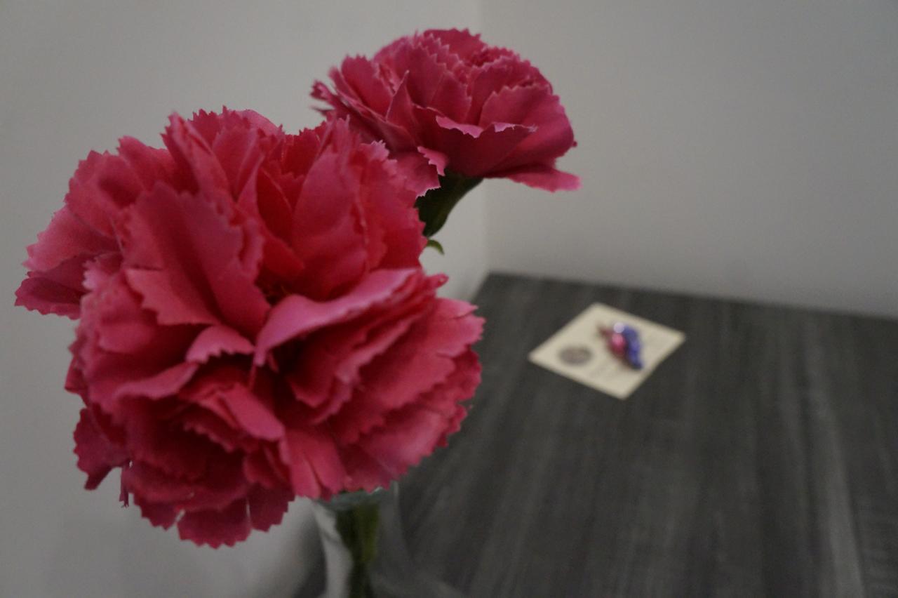 Palazzo Irma - Hotel - B&B Luxury Vibo Valentia Luaran gambar